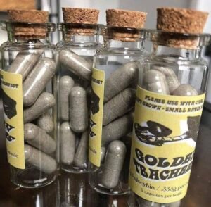 kjøp psilocybin sopp For kroniske smerter