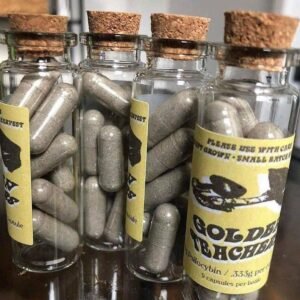kjøp psilocybin sopp For kroniske smerter